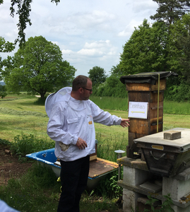 Bienenerlebnistag bei Lingmanns Bienenwelt